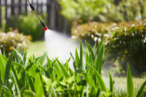 24/7 Emergency Mosquito Control experts in Temperance, MI
