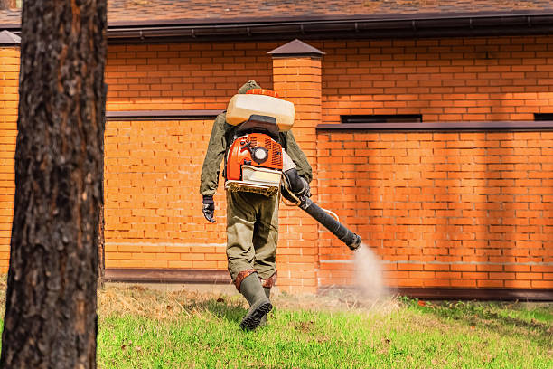 Top rated local Mosquito Control specialists in Temperance, MI